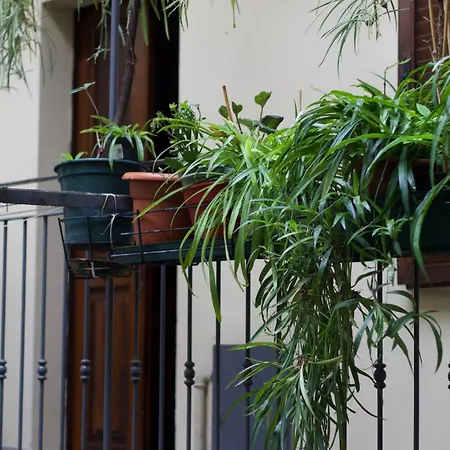 Cozy Apartment- Navigli 米兰